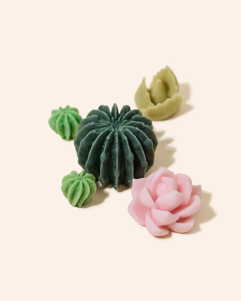 wax embeds