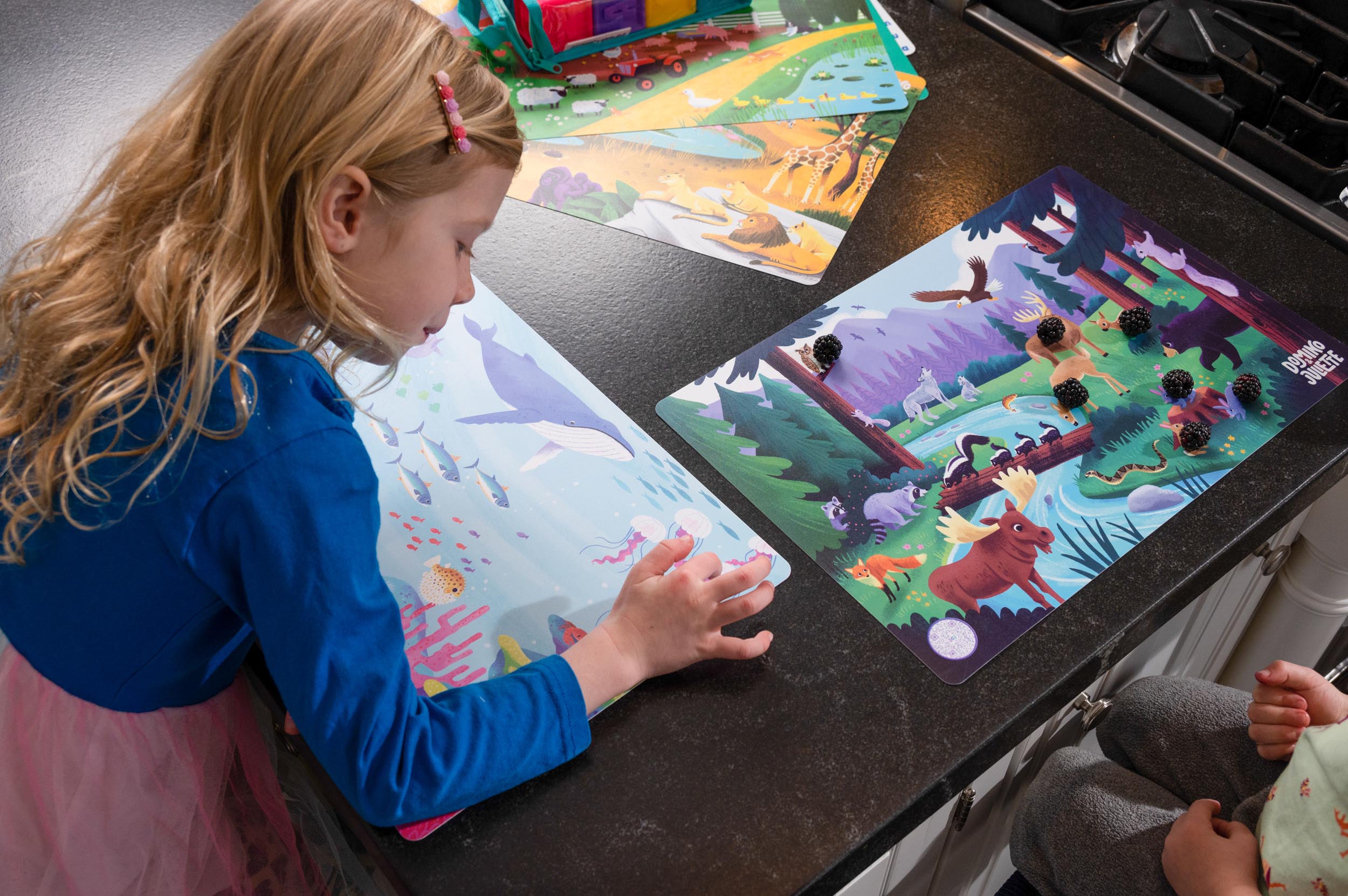 4-pack Toddler Placemat Bundle