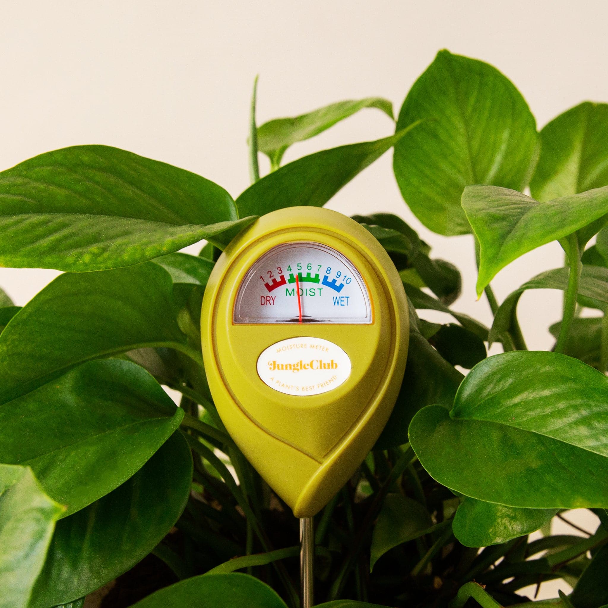 Moisture Meter