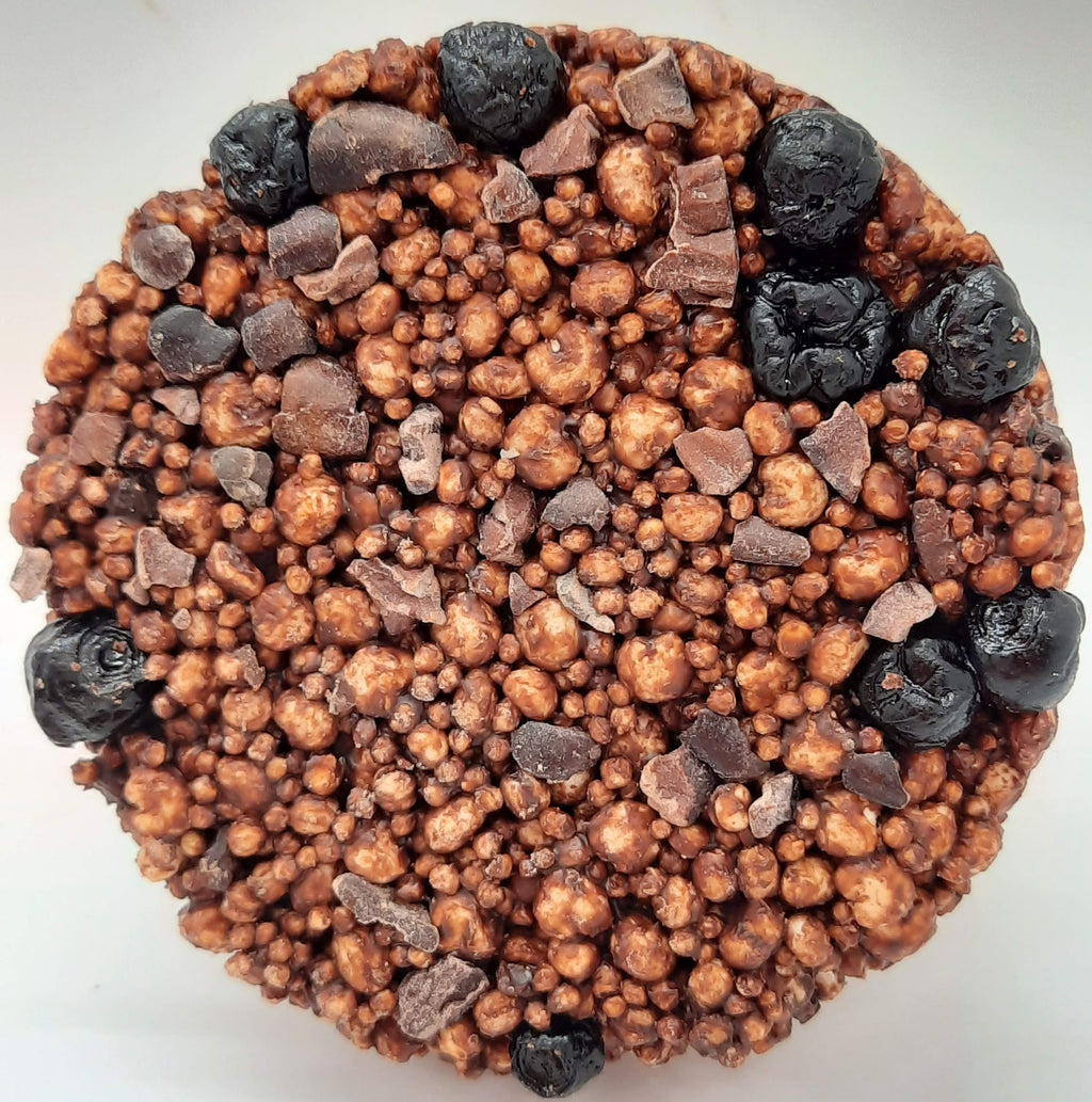 NEW Dark Chocolate Alegria Bites w/ Blueberries + Cacao Nibs