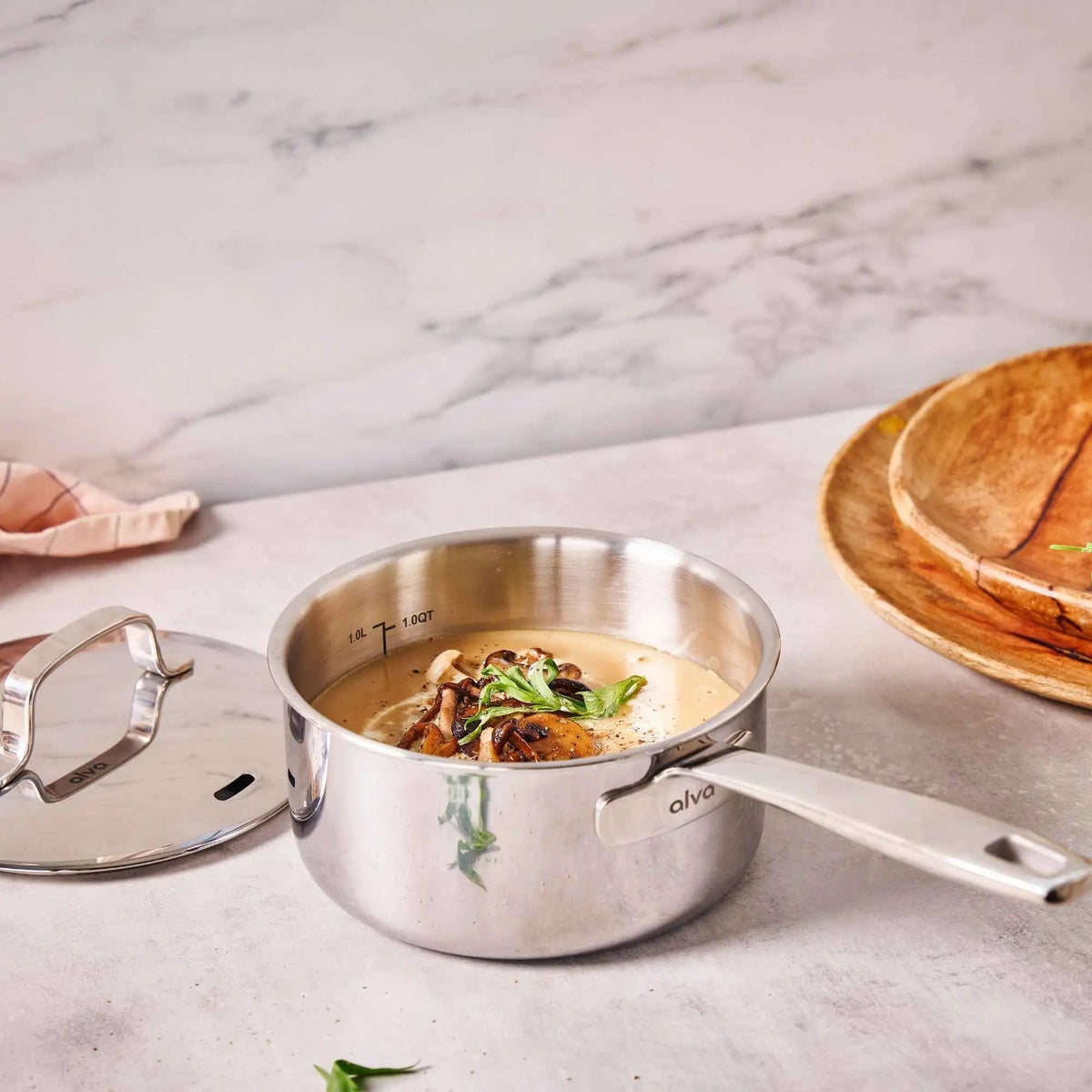 5-Ply Stainless Saucepan with Lid